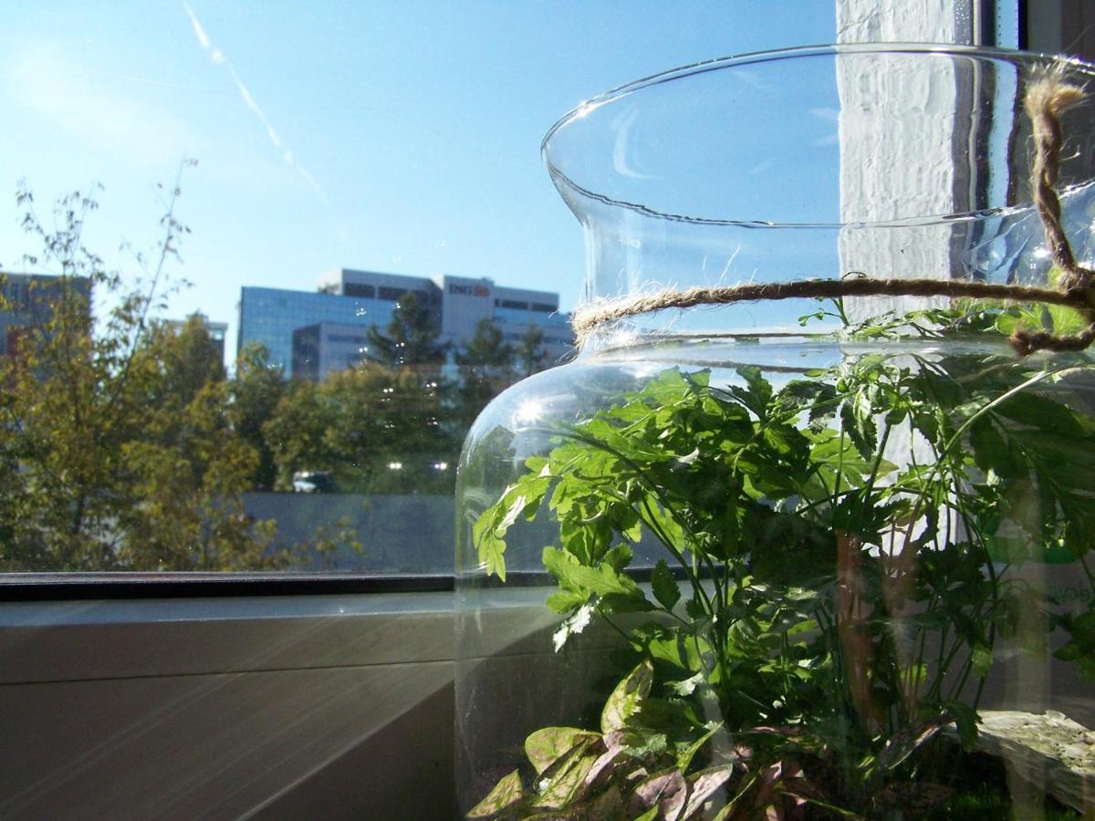 Bright Side Apartment Koszutka คาโตวีตเซ ภายนอก รูปภาพ