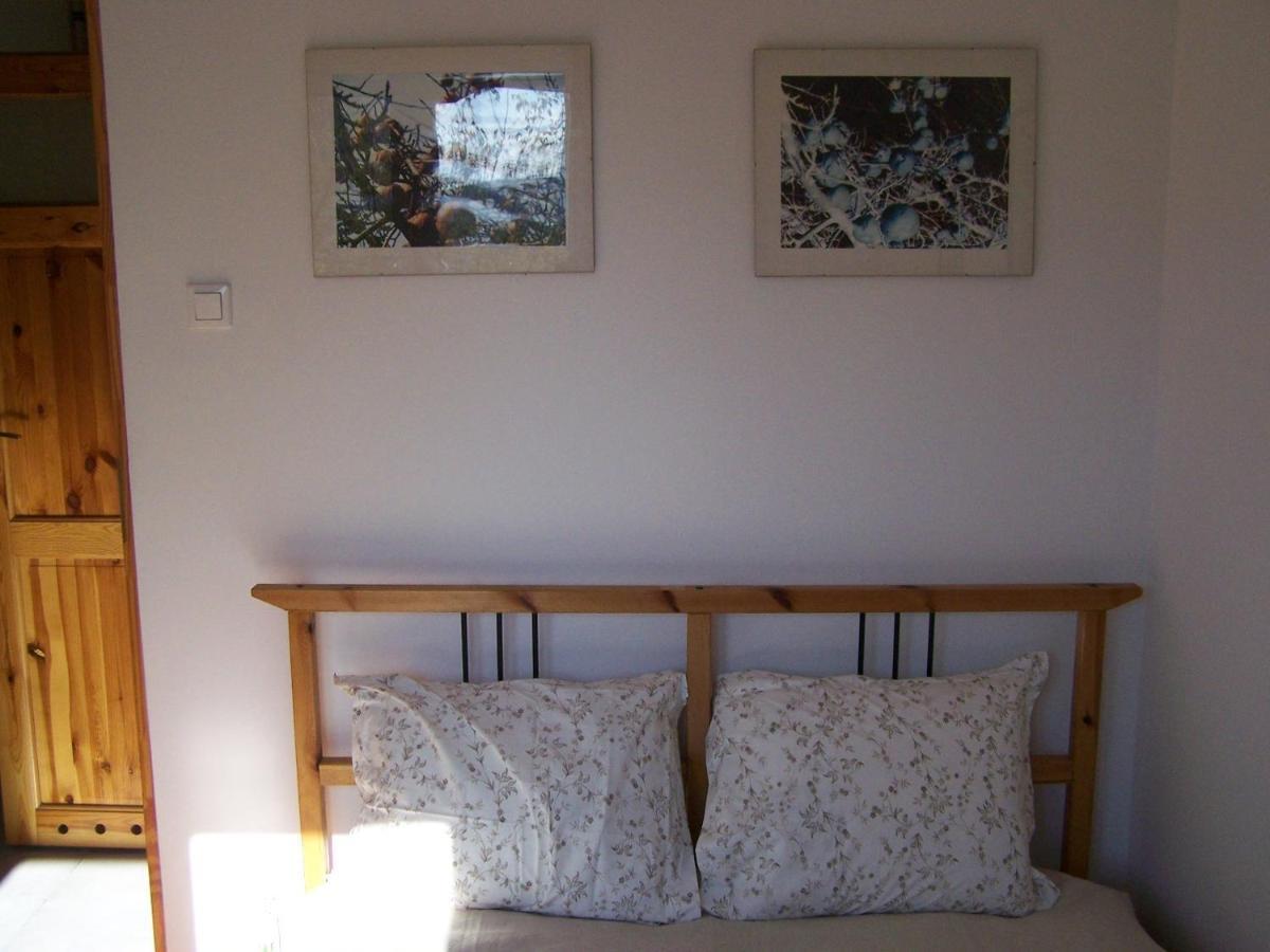 Bright Side Apartment Koszutka คาโตวีตเซ ภายนอก รูปภาพ